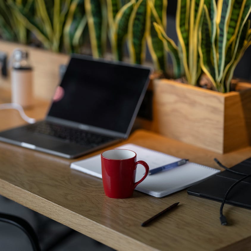 Rehe stehen während der goldenen Stunde in Rumänien auf einer sonnenbeschienenen Wiese. Ruhige und malerische Wildtierszene.